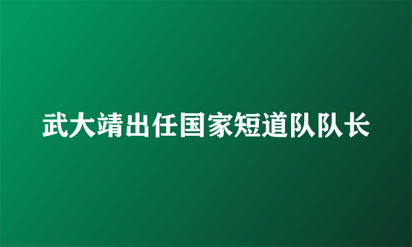 武大靖出任国家短道队队长