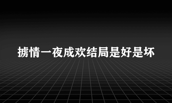 掳情一夜成欢结局是好是坏