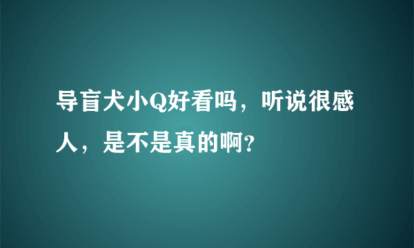 导盲犬小Q好看吗，听说很感人，是不是真的啊？