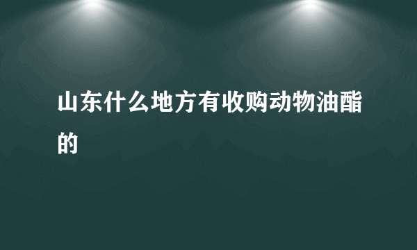 山东什么地方有收购动物油酯的