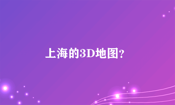 上海的3D地图？