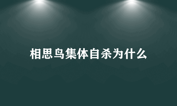 相思鸟集体自杀为什么