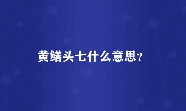 黄鳝头七什么意思？