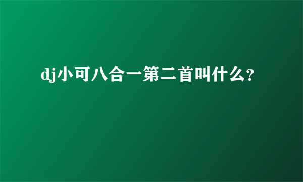 dj小可八合一第二首叫什么？