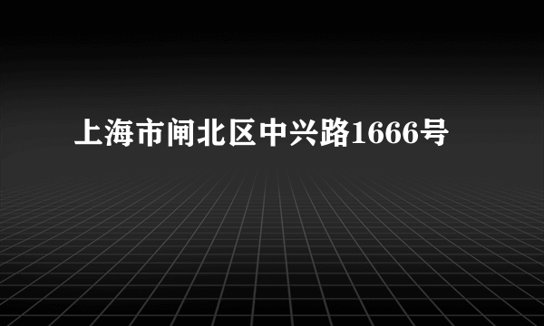 上海市闸北区中兴路1666号