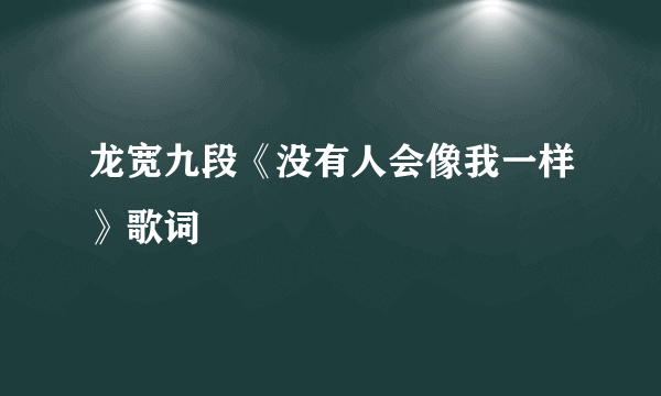 龙宽九段《没有人会像我一样》歌词