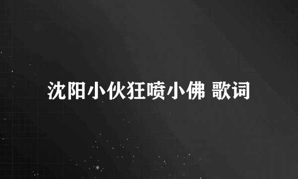 沈阳小伙狂喷小佛 歌词