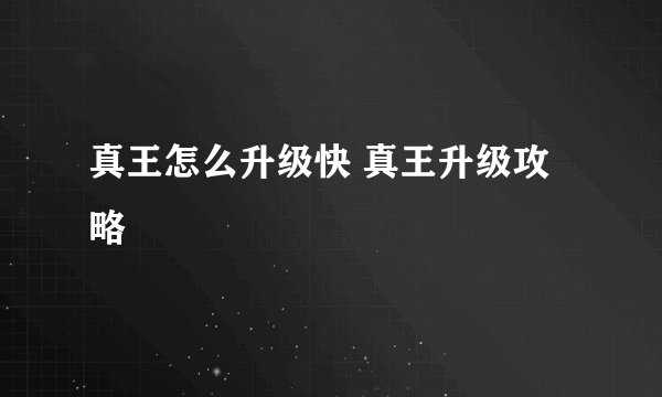 真王怎么升级快 真王升级攻略