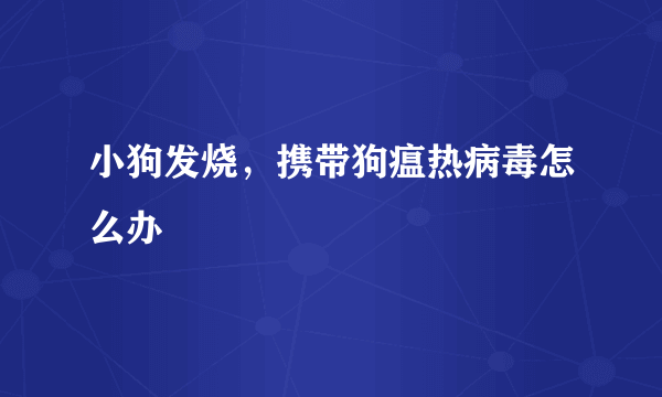 小狗发烧，携带狗瘟热病毒怎么办