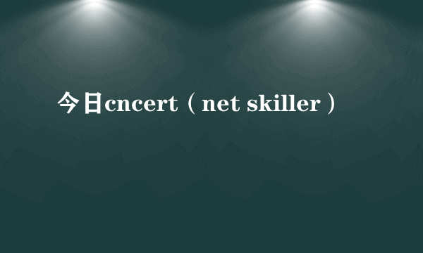 今日cncert（net skiller）