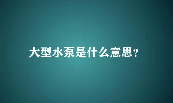 大型水泵是什么意思？