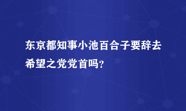 东京都知事小池百合子要辞去希望之党党首吗？