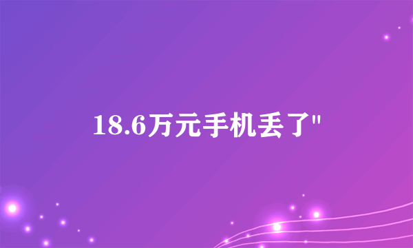 18.6万元手机丢了