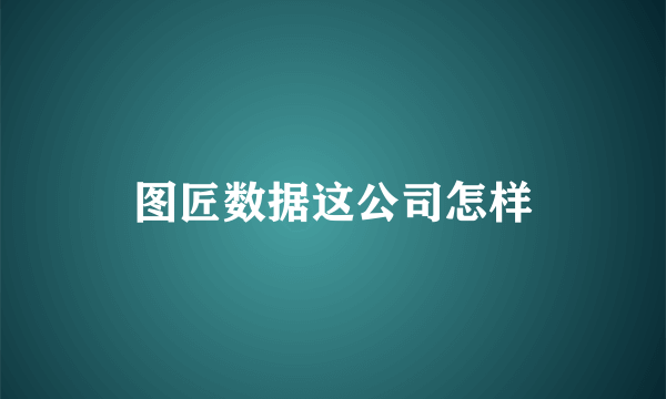 图匠数据这公司怎样