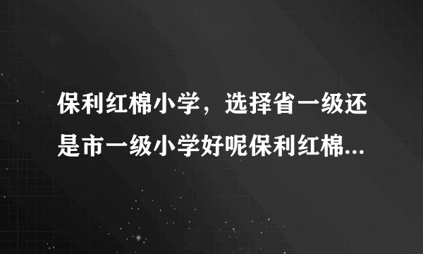 保利红棉小学，选择省一级还是市一级小学好呢保利红棉小学好吗