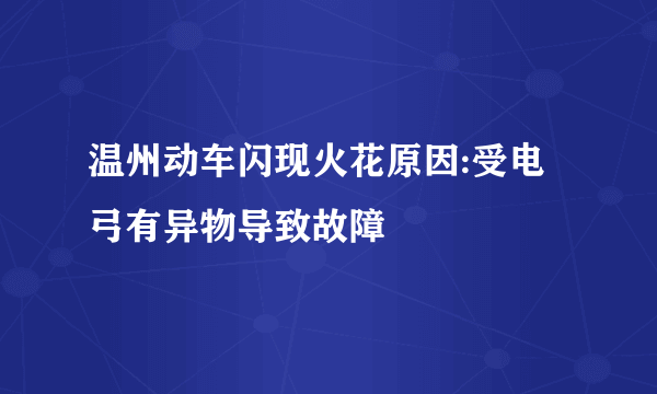 温州动车闪现火花原因:受电弓有异物导致故障