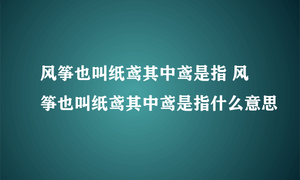 风筝也叫纸鸢其中鸢是指 风筝也叫纸鸢其中鸢是指什么意思