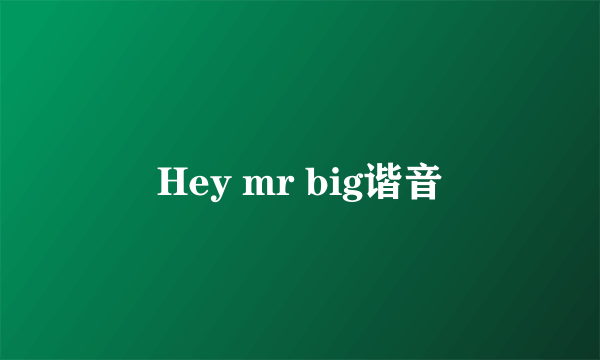 Hey mr big谐音