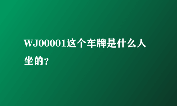 WJ00001这个车牌是什么人坐的？