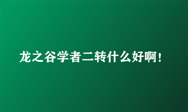 龙之谷学者二转什么好啊！