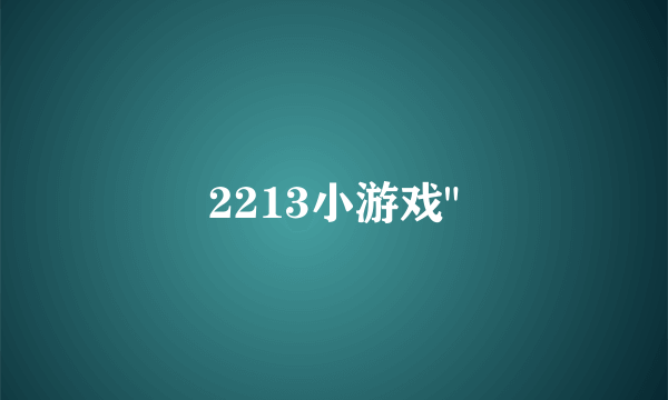 2213小游戏