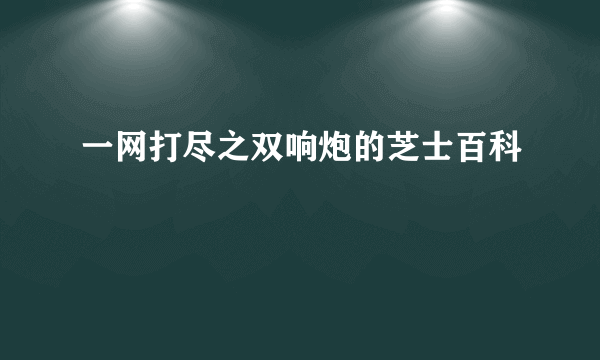 一网打尽之双响炮的芝士百科