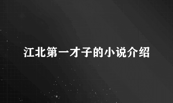 江北第一才子的小说介绍