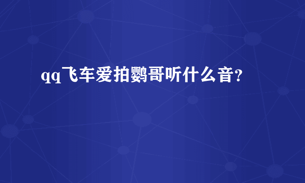 qq飞车爱拍鹦哥听什么音？