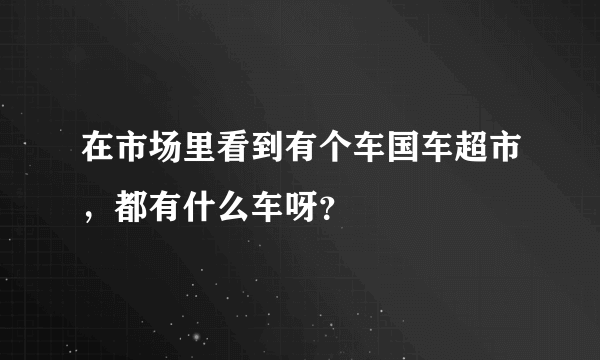 在市场里看到有个车国车超市，都有什么车呀？