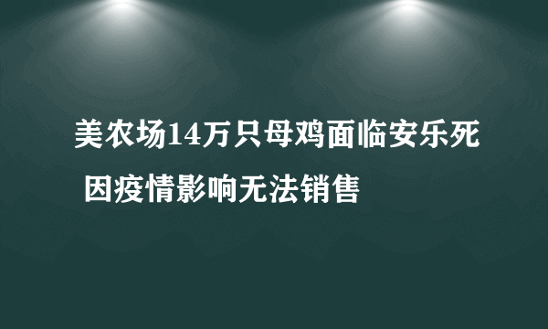 美农场14万只母鸡面临安乐死 因疫情影响无法销售