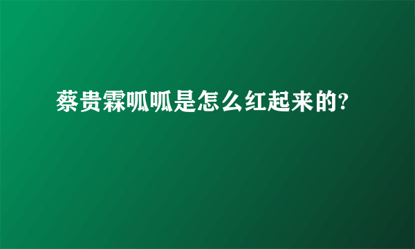 蔡贵霖呱呱是怎么红起来的?