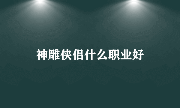 神雕侠侣什么职业好