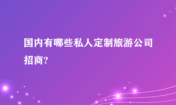 国内有哪些私人定制旅游公司招商?