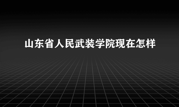 山东省人民武装学院现在怎样