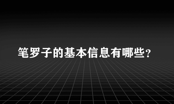 笔罗子的基本信息有哪些？