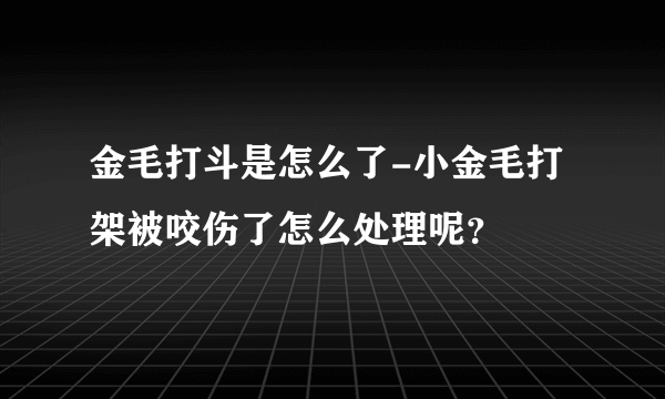 金毛打斗是怎么了-小金毛打架被咬伤了怎么处理呢？