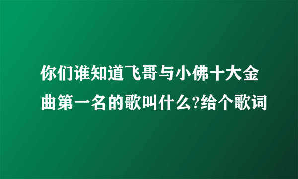 你们谁知道飞哥与小佛十大金曲第一名的歌叫什么?给个歌词