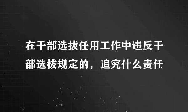 在干部选拔任用工作中违反干部选拔规定的，追究什么责任