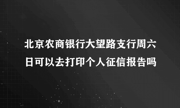 北京农商银行大望路支行周六日可以去打印个人征信报告吗