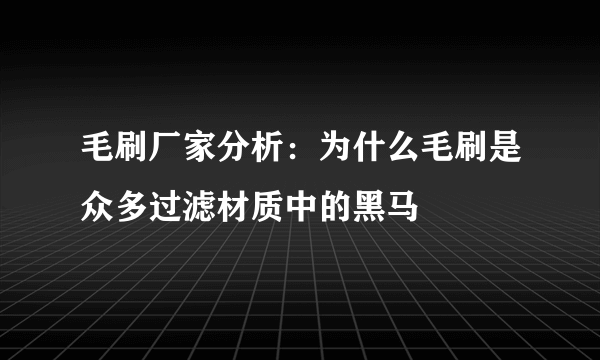 毛刷厂家分析：为什么毛刷是众多过滤材质中的黑马