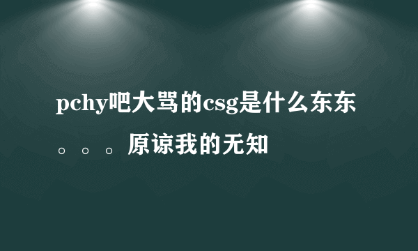 pchy吧大骂的csg是什么东东。。。原谅我的无知