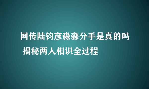 网传陆钧彦淼淼分手是真的吗 揭秘两人相识全过程