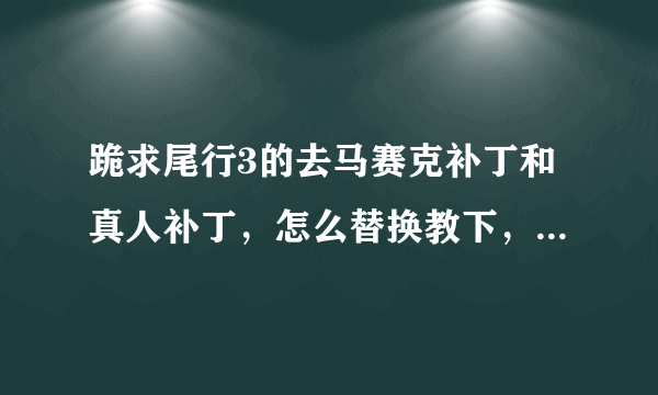 跪求尾行3的去马赛克补丁和真人补丁，怎么替换教下，谢谢了！