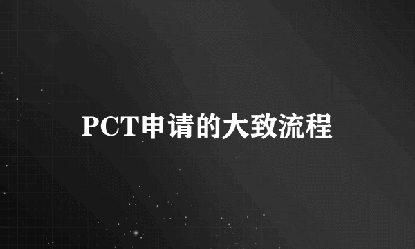 PCT申请的大致流程