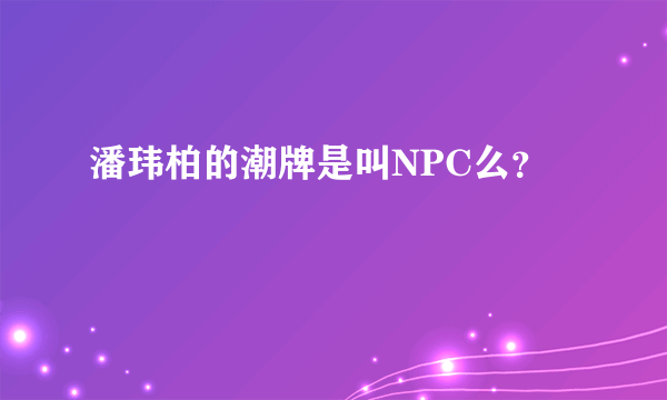 潘玮柏的潮牌是叫NPC么？