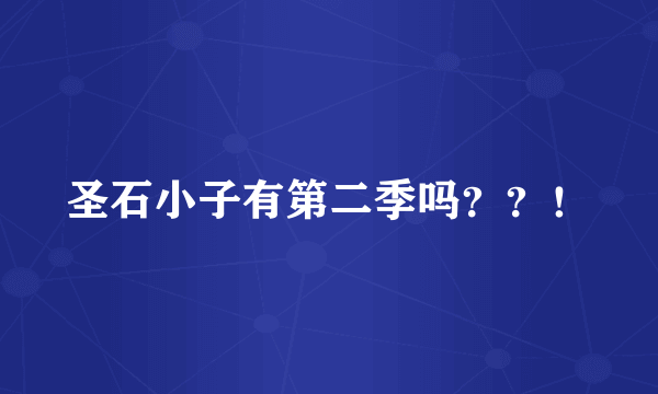 圣石小子有第二季吗？？！