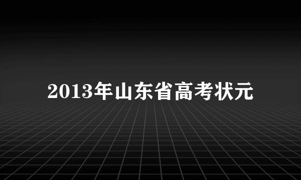 2013年山东省高考状元