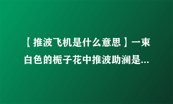 【推波飞机是什么意思】一束白色的栀子花中推波助澜是什么意思