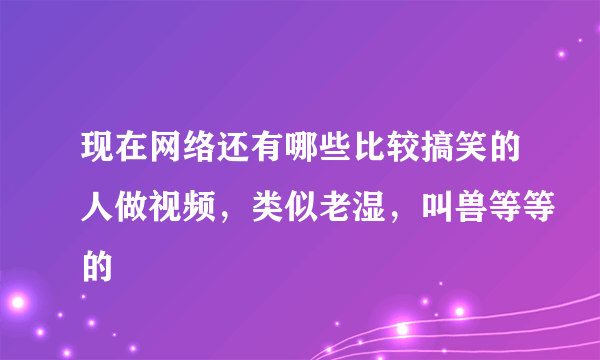 现在网络还有哪些比较搞笑的人做视频，类似老湿，叫兽等等的