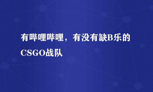 有哔哩哔哩，有没有缺B乐的CSGO战队